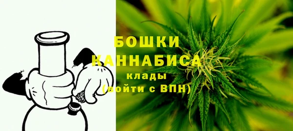 спайс Покачи