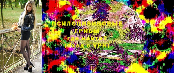 гидра Покровск