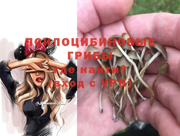 spice Дмитриев