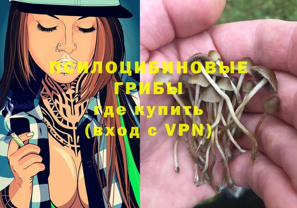 гидра Покровск