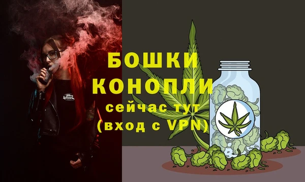 спайс Покачи