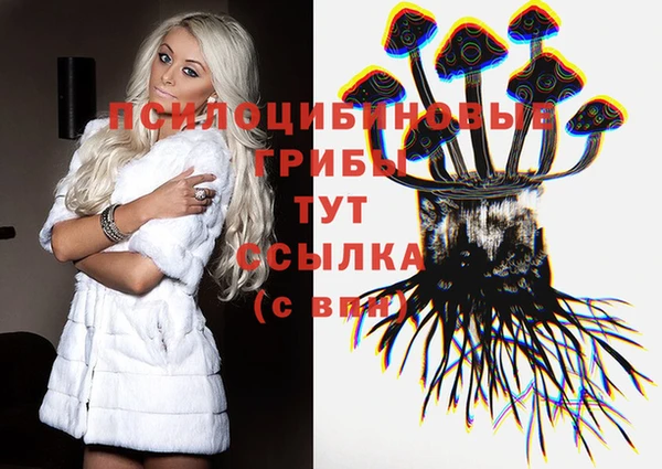 гидра Покровск