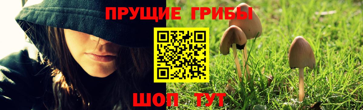Абинск  Галлюциногенные грибы GOLDEN TEACHER  Вход с VPN  Галлюциногенные грибы мицелий 