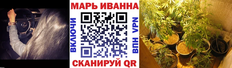 магазин продажи наркотиков  гидра ссылка  Шишки марихуана THC 21%  Абинск 